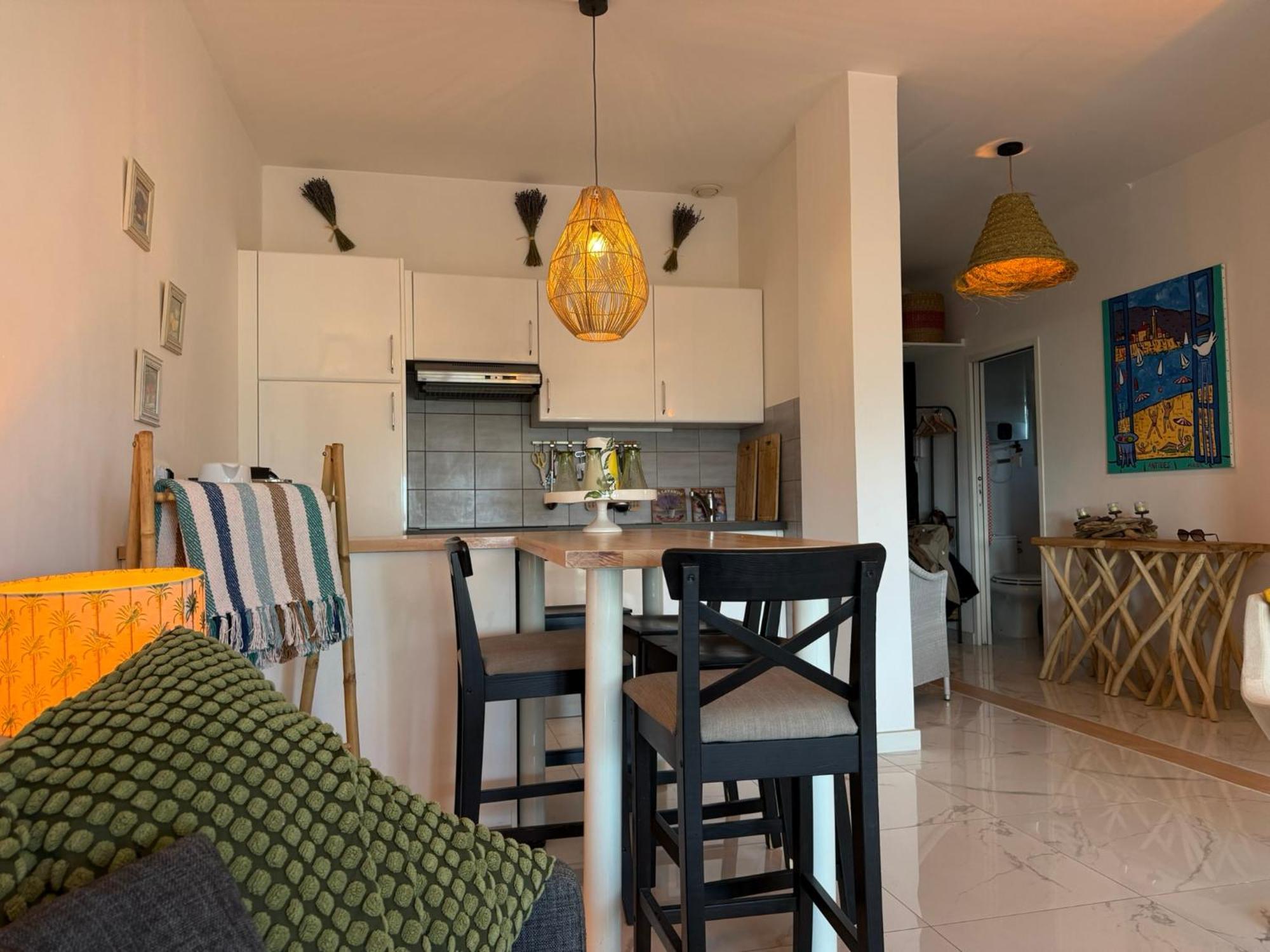 Large Luxury With Garden View Over The Ocean Apartment Antibes